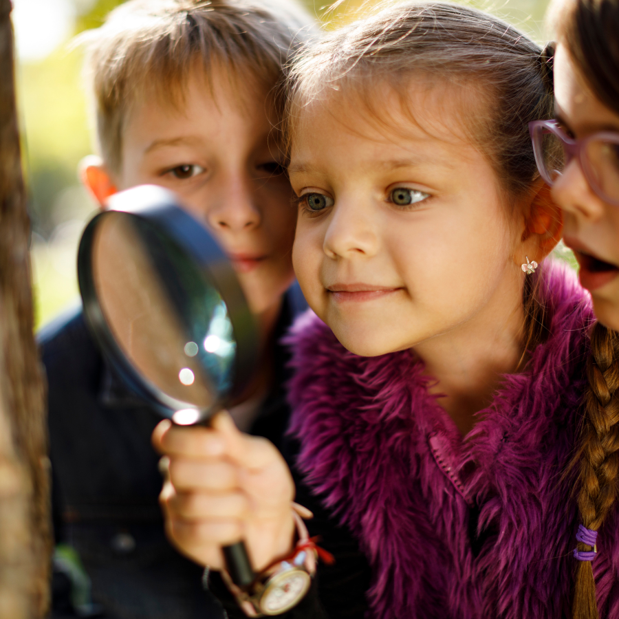 Magnifying glass
