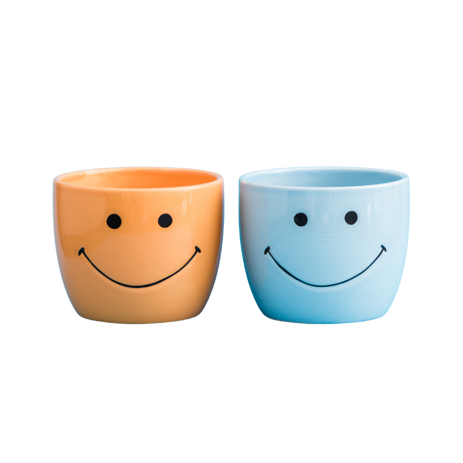 Smiley Planters