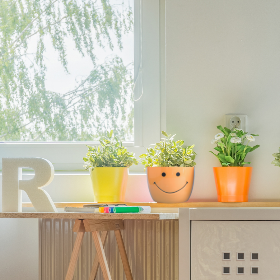 Smiley Planters